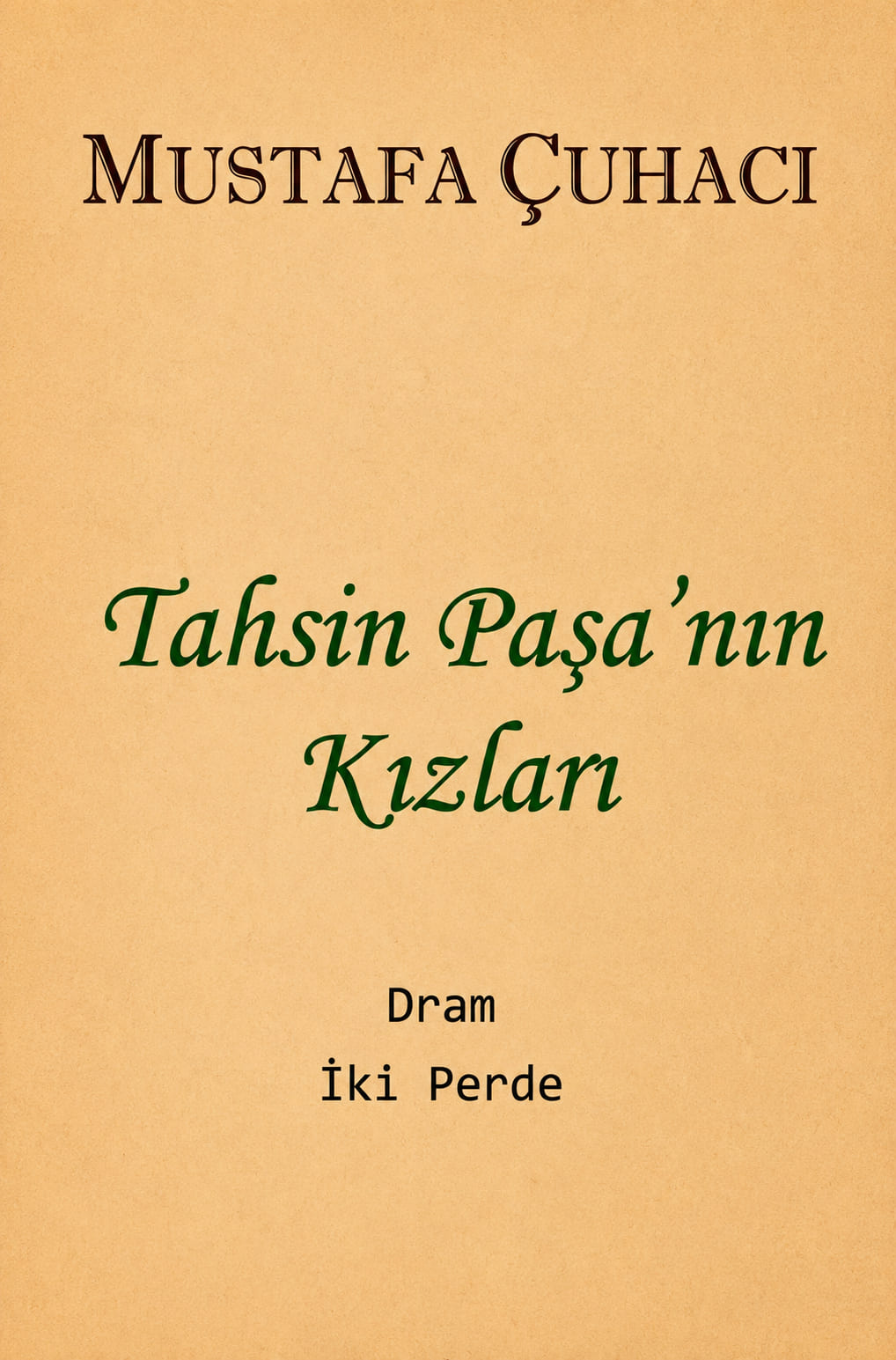 Tahsin Paşanın Kızları kapak